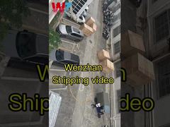 SMT Assembly Machine wenzhan shipping video